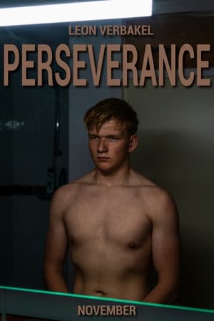 Perseverance poszter