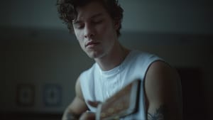 Shawn Mendes: In Wonder háttérkép