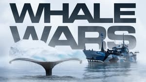 Whale Wars kép