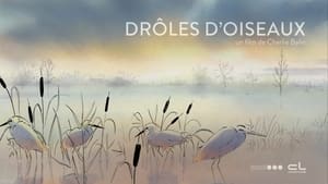 Drôles d'oiseaux háttérkép