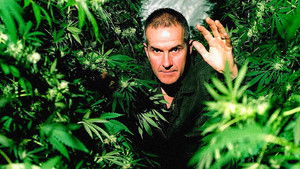 Cannabis: The Evil Weed? háttérkép