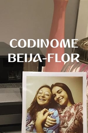 Codinome Beija-Flor poszter