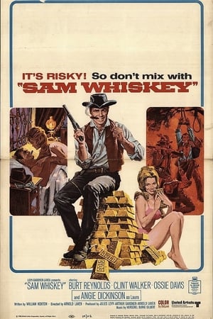 Sam Whiskey poszter