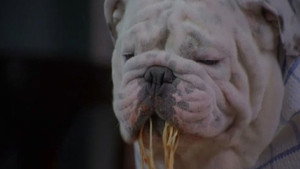 The Dogfather háttérkép