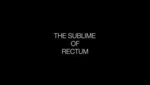 The Sublime of Rectum háttérkép