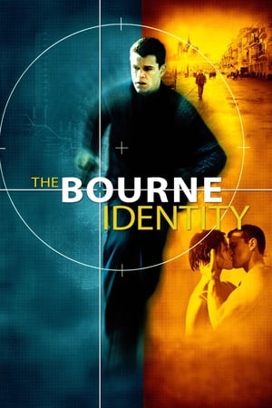 A Bourne-rejtély poszter