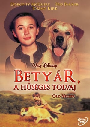 Betyár, a hűséges tolvaj