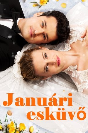 Januári esküvő