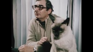 Chabrol, l'anticonformiste háttérkép