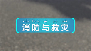 斑马百科 42. évad Ep.9 9. epizód