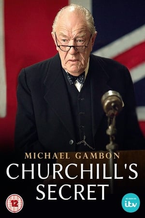 Churchill's Secret poszter