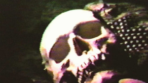 Cannibal Orgy háttérkép