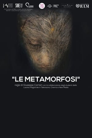 Le metamorfosi poszter