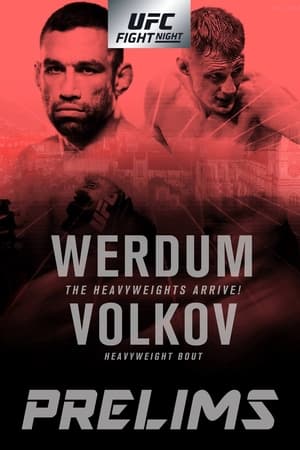 UFC Fight Night 127: Werdum vs. Volkov poszter