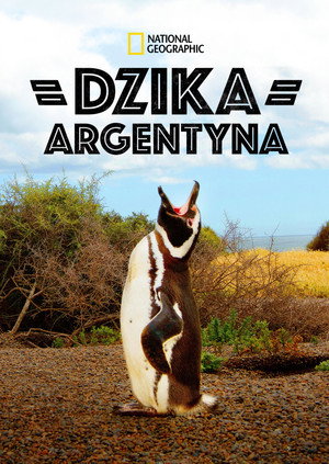 Vad Argentína poszter