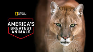 America's Greatest Animals háttérkép