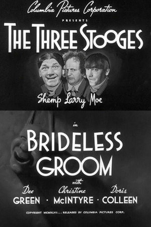 Brideless Groom poszter