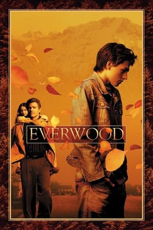 Everwood poszter