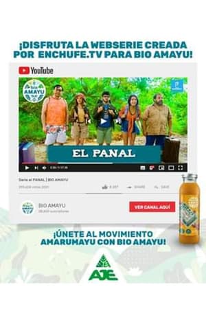 El Panal | BIO AMAYU