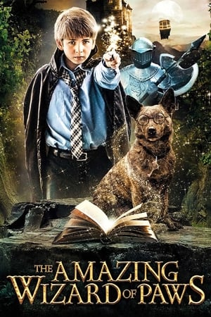 The Amazing Wizard of Paws poszter