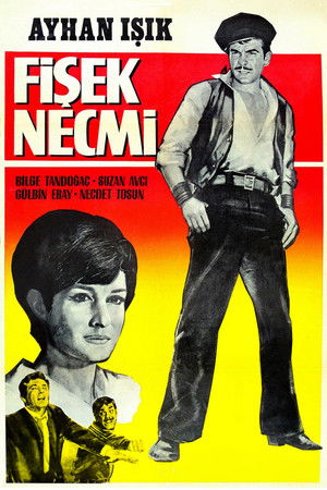 Fişek Necmi poszter