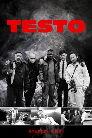 TESTO