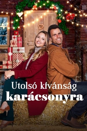 Utolsó kívánság karácsonyra