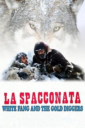 La spacconata poszter