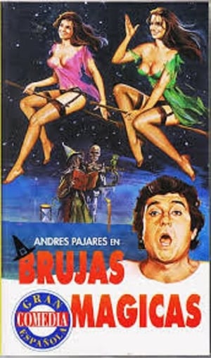 Brujas mágicas poszter