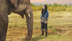Cher & the Loneliest Elephant háttérkép