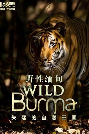 Wild Burma: Nature's Lost Kingdom poszter