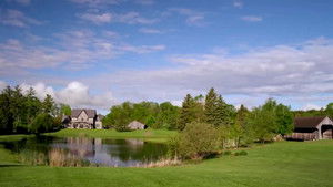 Lassú vágta háttérkép