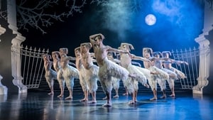 Matthew Bourne's Swan Lake háttérkép