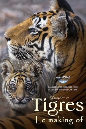 Tigres : Le Making of poszter