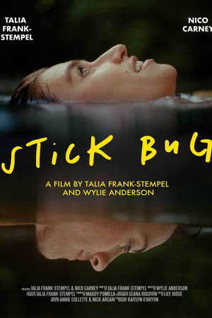 Stick Bug poszter