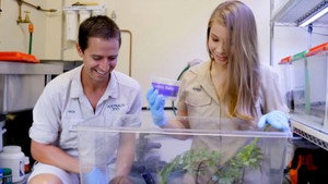 Ausztrál állatkert - Steve Irwin öröksége 4. évad Ep.5 Aprók, de mérgezők