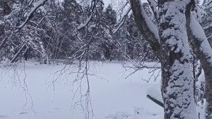 La Féerie Winter háttérkép