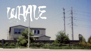 Whale háttérkép