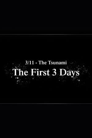 3/11 - The Tsunami: The First 3 Days