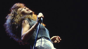 Tina Turner : Celebrate! háttérkép