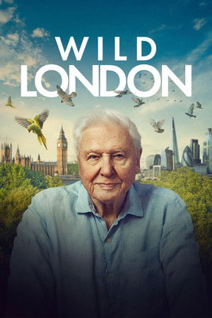 Vad London poszter