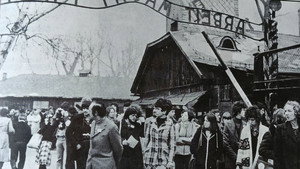 Un jour les témoins disparaîtront háttérkép
