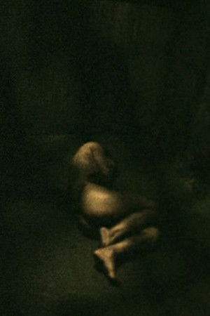 Touch poszter