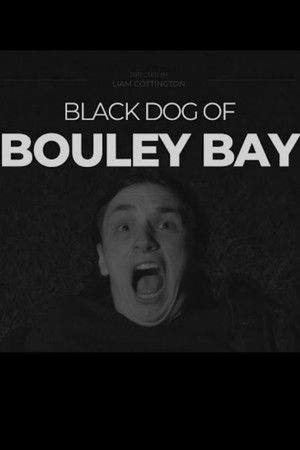 Black Dog of Bouley Bay poszter