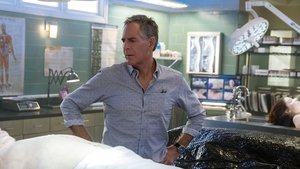 NCIS: New Orleans 5. évad Ep.13 13. epizód