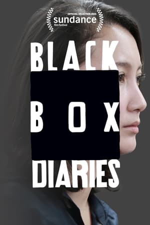 Black Box Diaries poszter