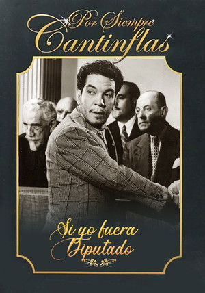 Si yo fuera diputado poszter