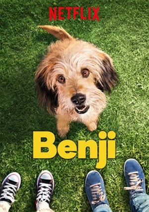 Benji poszter