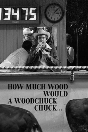 How Much Wood Would a Woodchuck Chuck: Beobachtungen zu einer neuen Sprache poszter