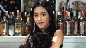 衛斯理之老貓 háttérkép